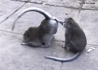 6AD23438-09EF-4DF1-8172-102AEDED3629.gif