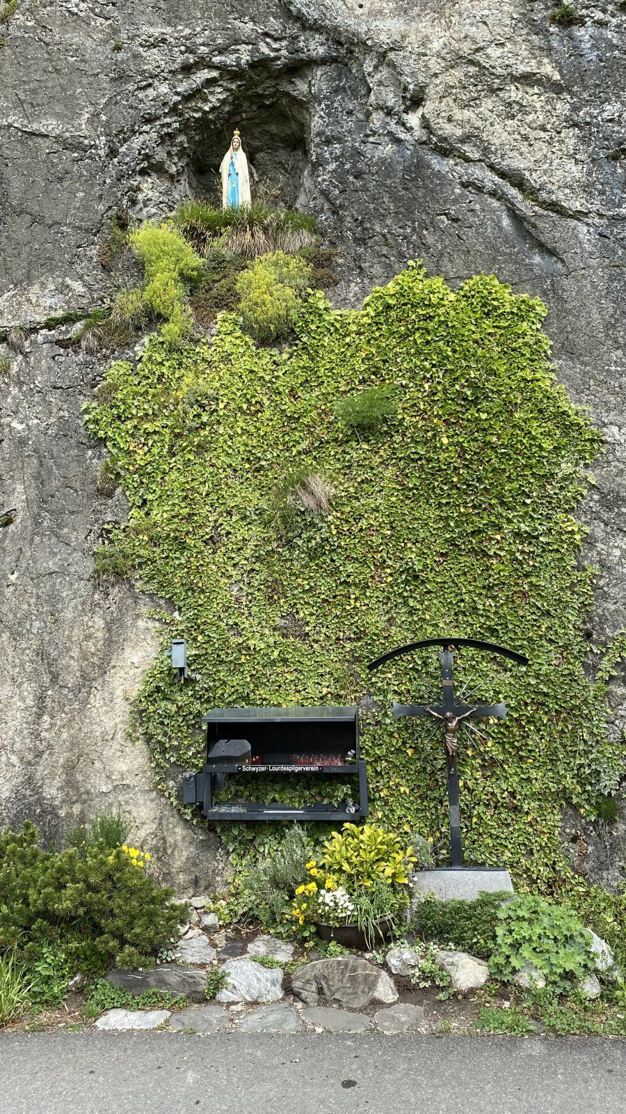 73279201-9D6C-4561-8D00-4F07C42D86E7.jpeg