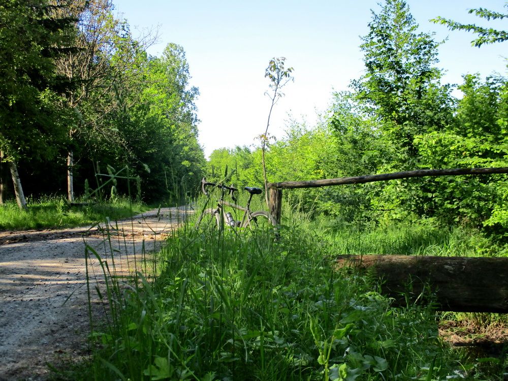 77.JPG
