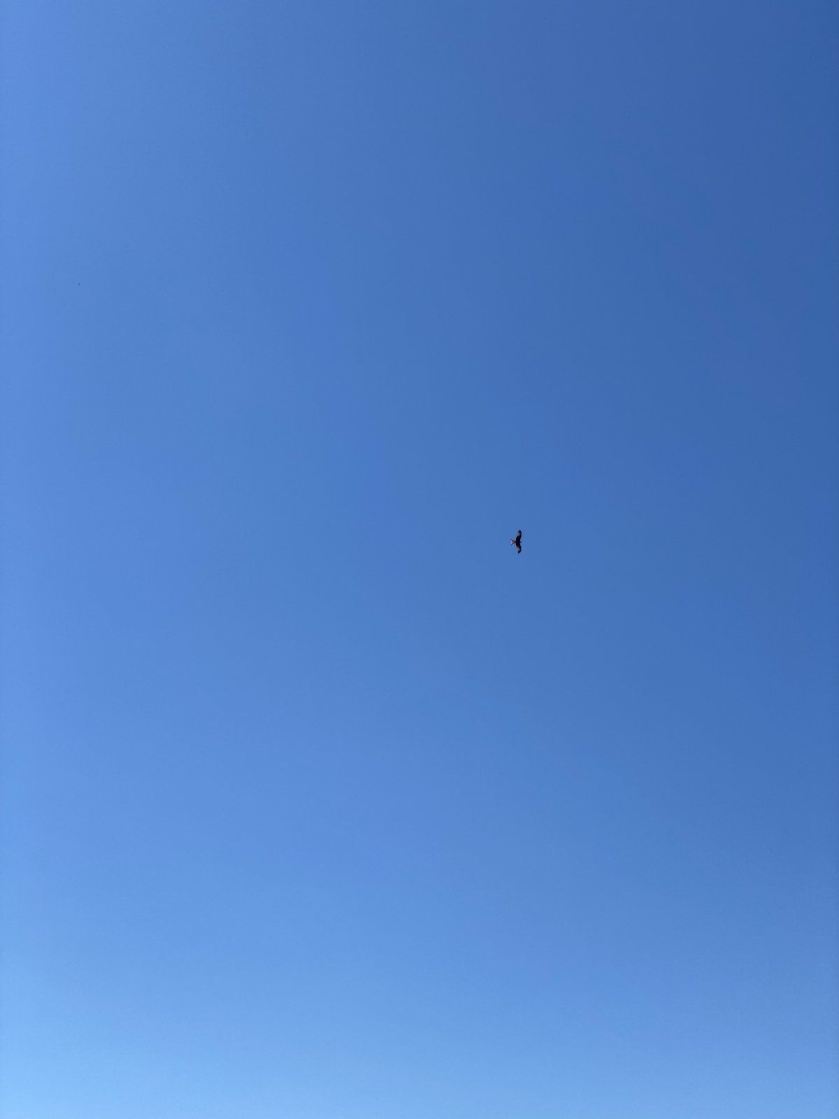 780562E8-843F-4090-8DD3-0BB2358CE71F.jpeg