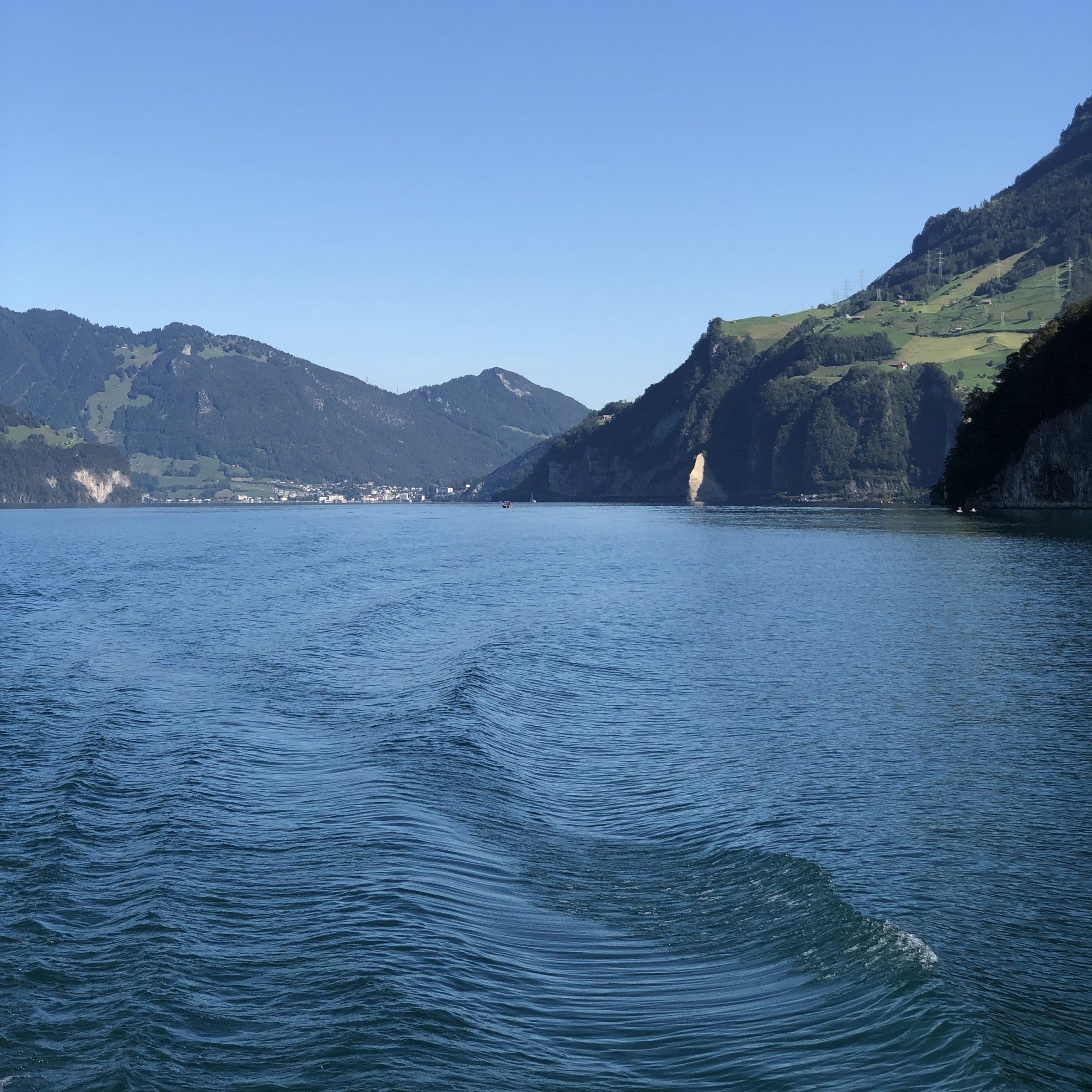 7C63C004-B022-4B8A-A9D1-C69AD867E666.jpeg
