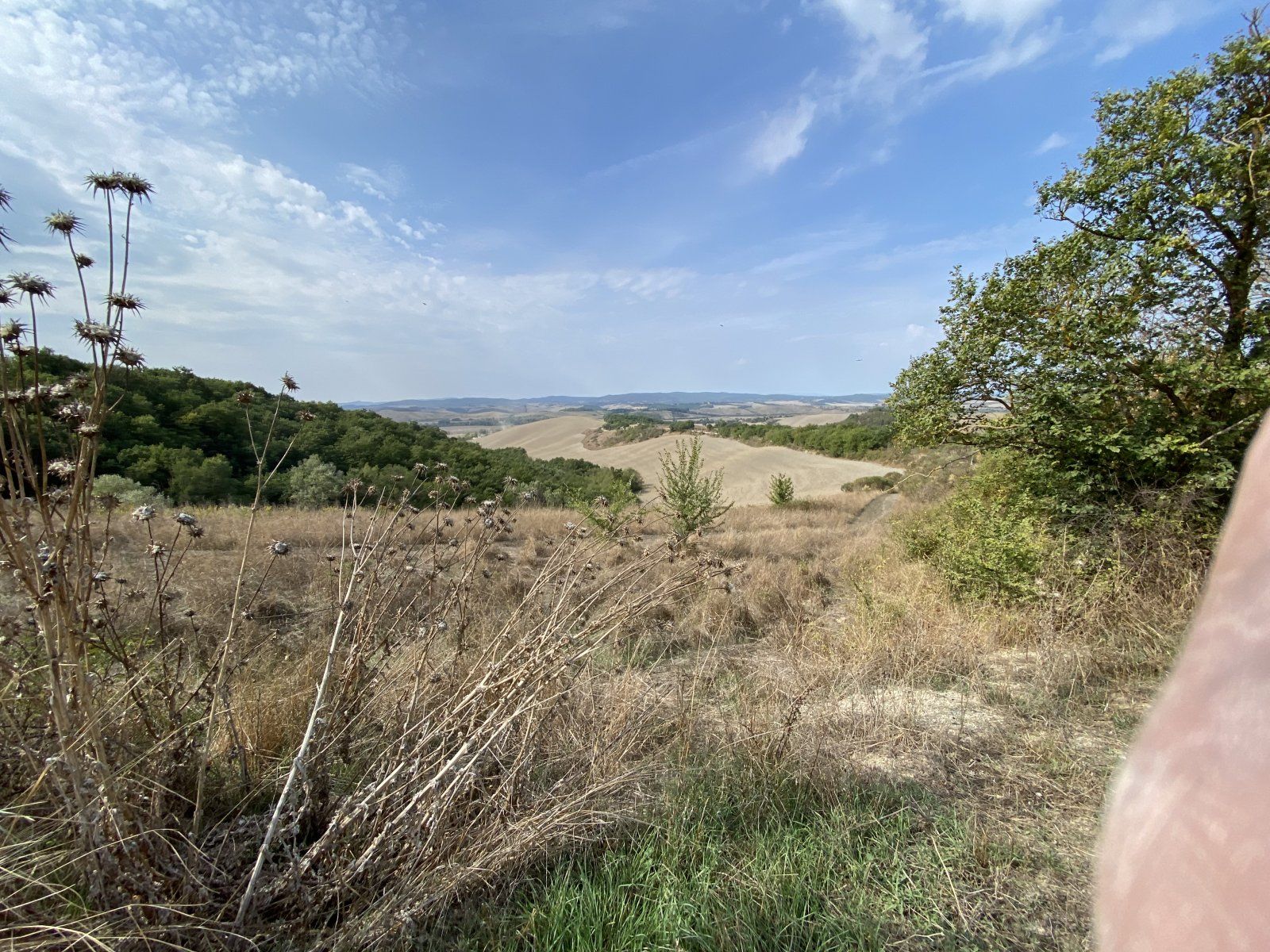 7E71579F-6DC8-4441-9E08-8AF67ABB054E.jpeg