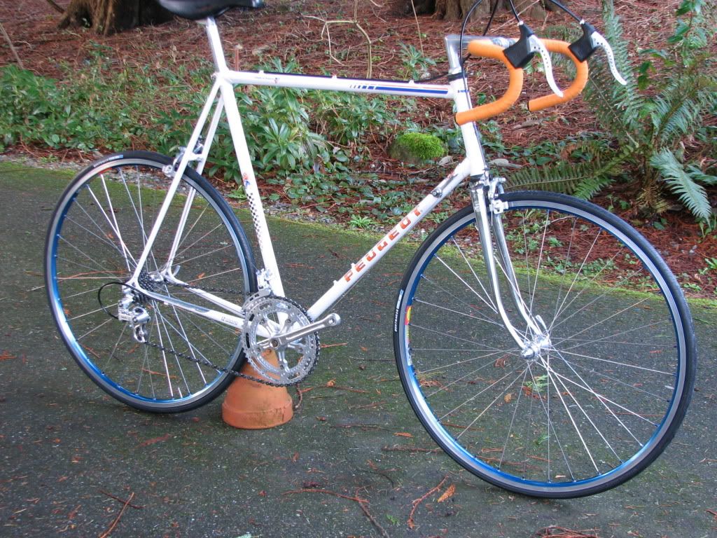 82_SuperVitus 04a.JPG