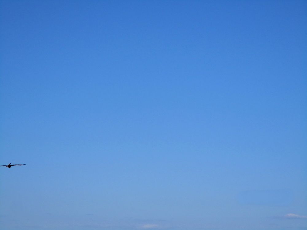 88.JPG