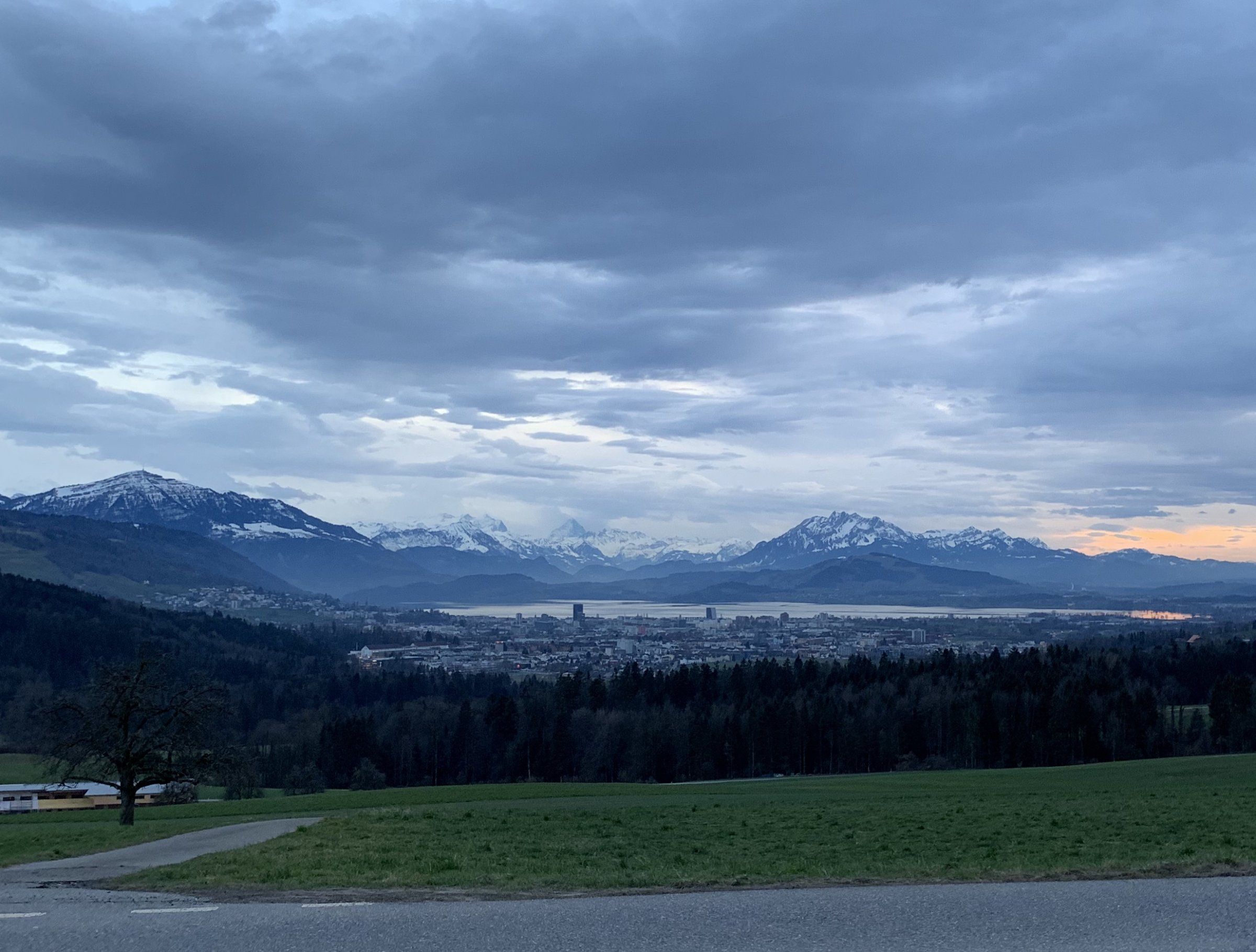 8BD23650-2FBB-4949-A526-2D13017E9D5D.jpeg