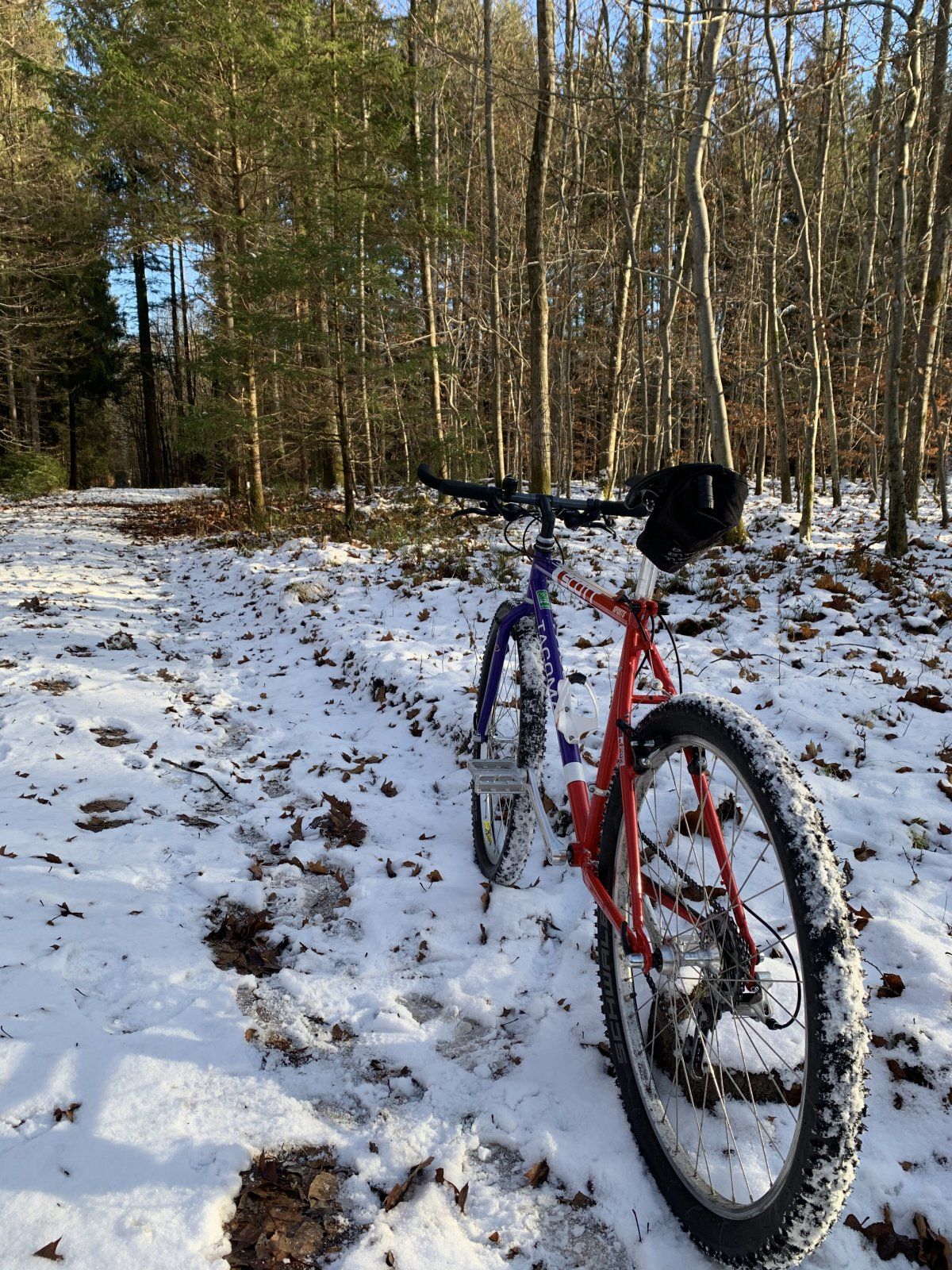 8F994688-814E-4DF0-9F76-403B585C1CC6.jpeg