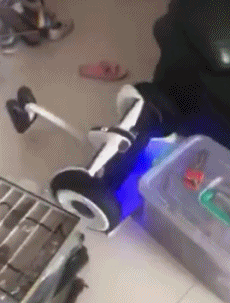 9.gif