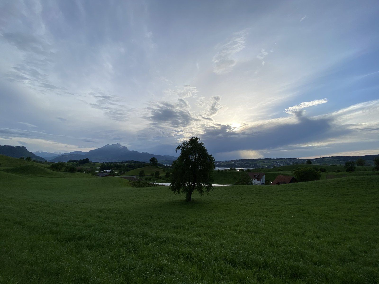 920FFFEB-6DCE-4A5D-8DD6-B722179517D3.jpeg
