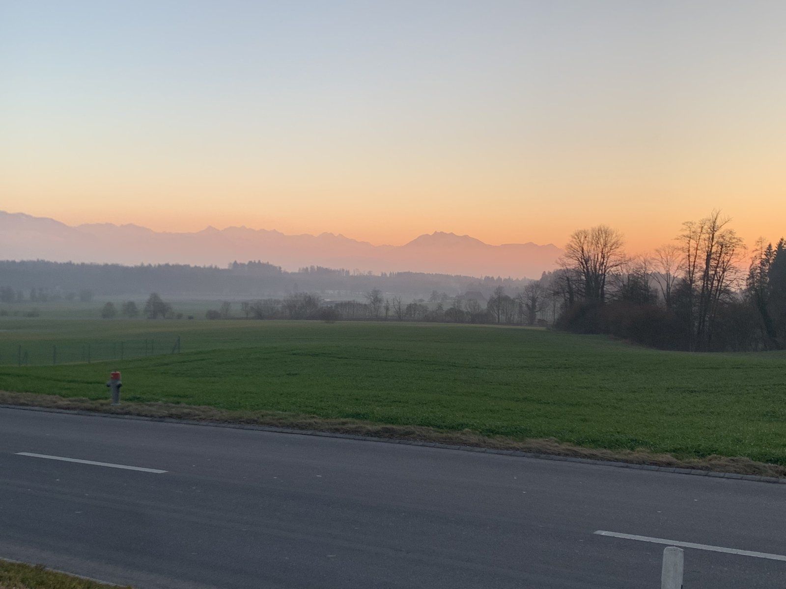 92FB31D4-7FAA-4796-B5CF-673C2205437E.jpeg