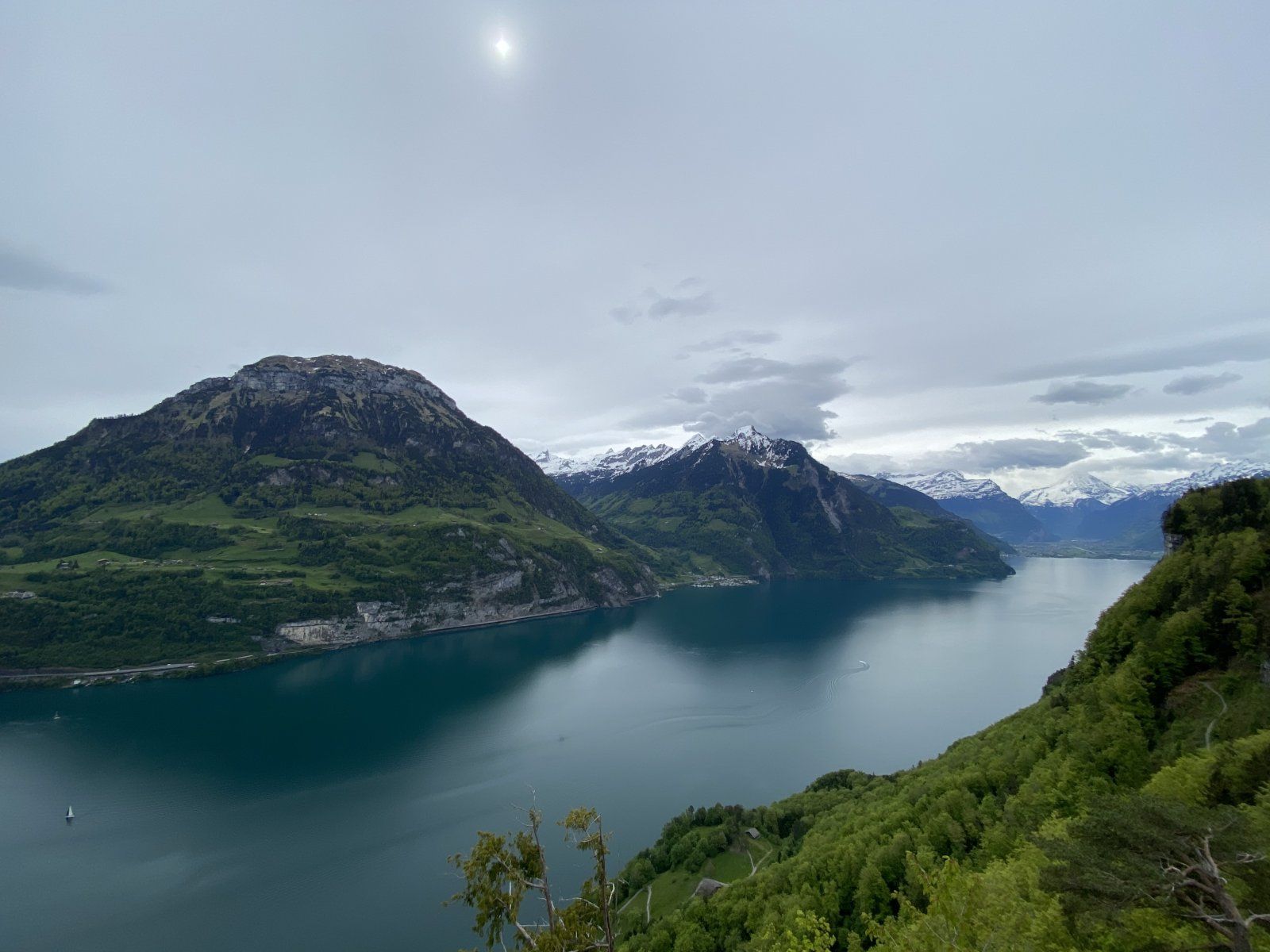 93BF724D-CB29-4DAA-A8C8-5529055E5531.jpeg