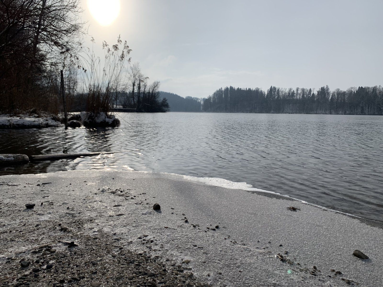 9A186EEA-14F3-4D14-B3B5-F8525708F1F2.jpeg
