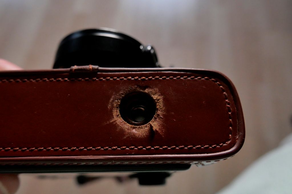 _1020120.JPG