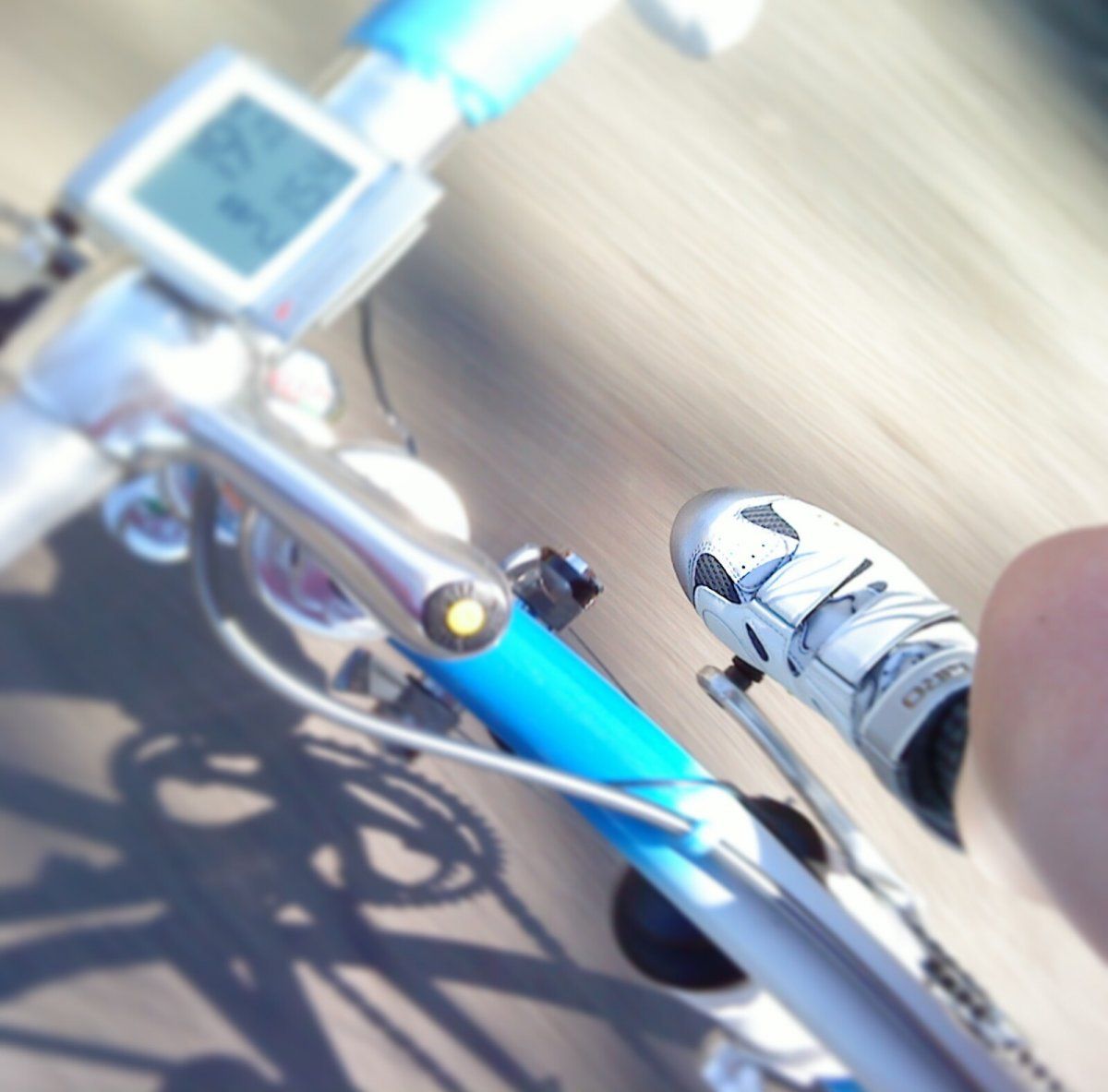 _20160403_153940.JPG