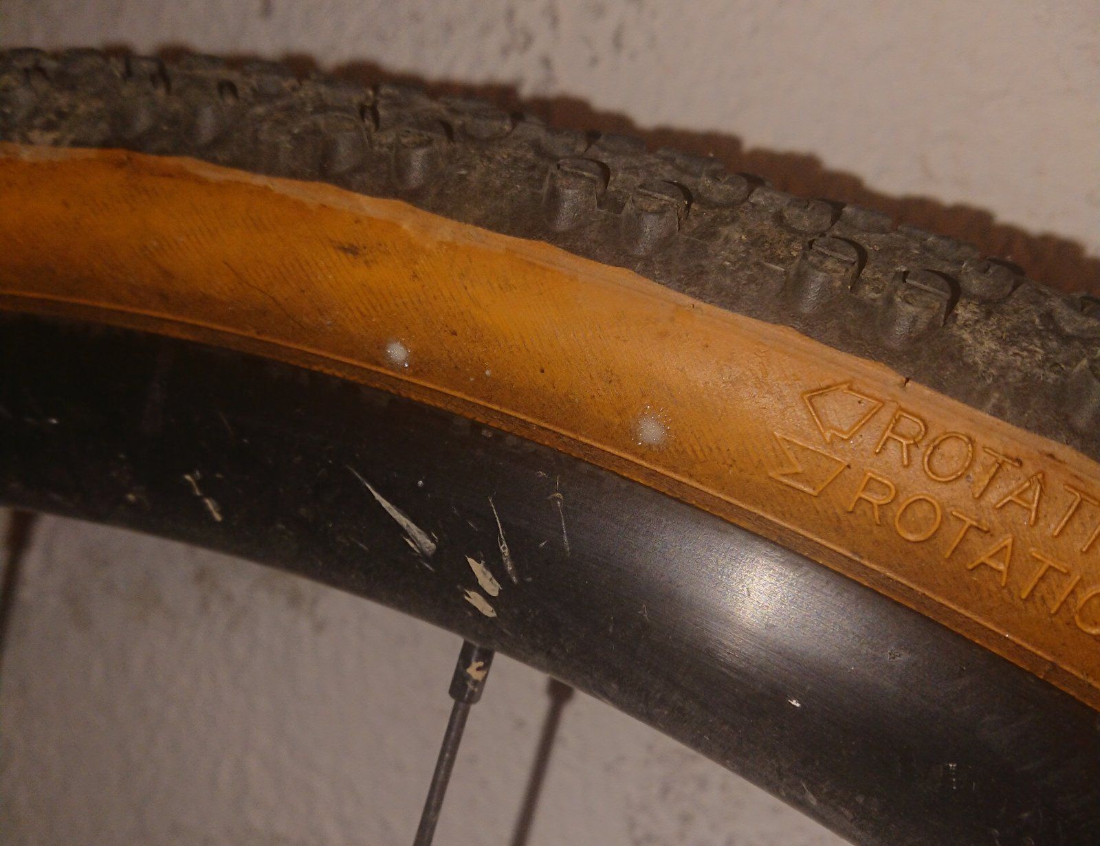 _20221005_220123.JPG