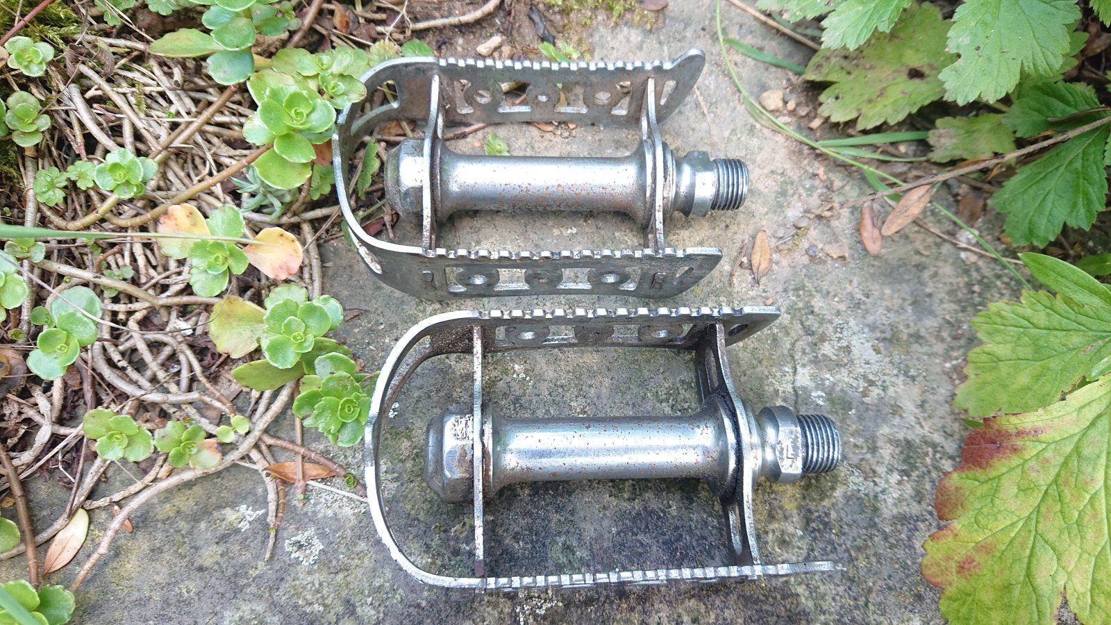 _20230730_230458.JPG
