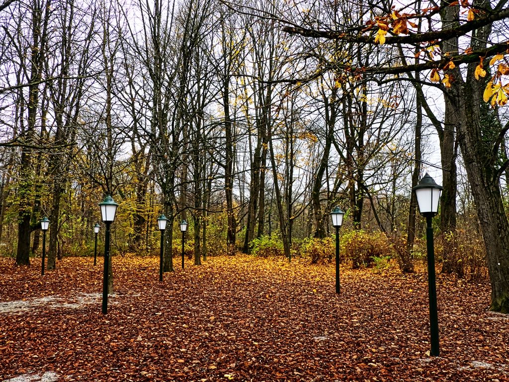 _ANA3748-sp.jpg