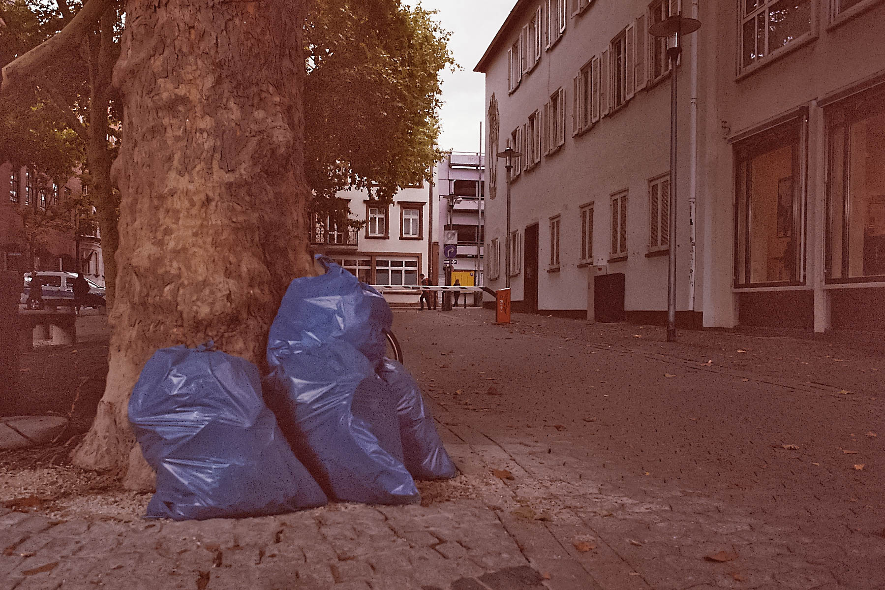 _Bild002_Neg.Nr.N2.jpg