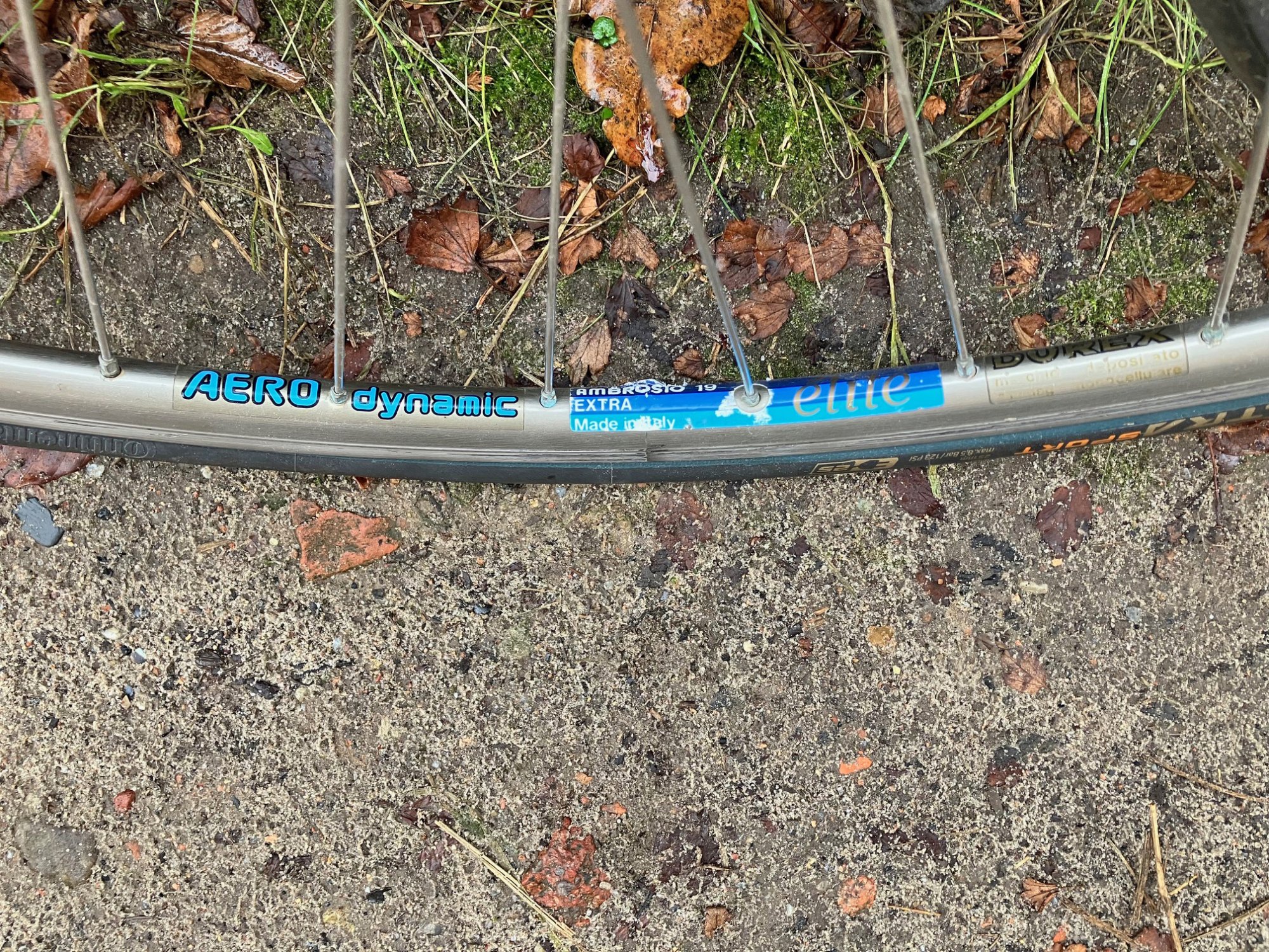 _DSC1745 laufraeder ssp_2.jpg