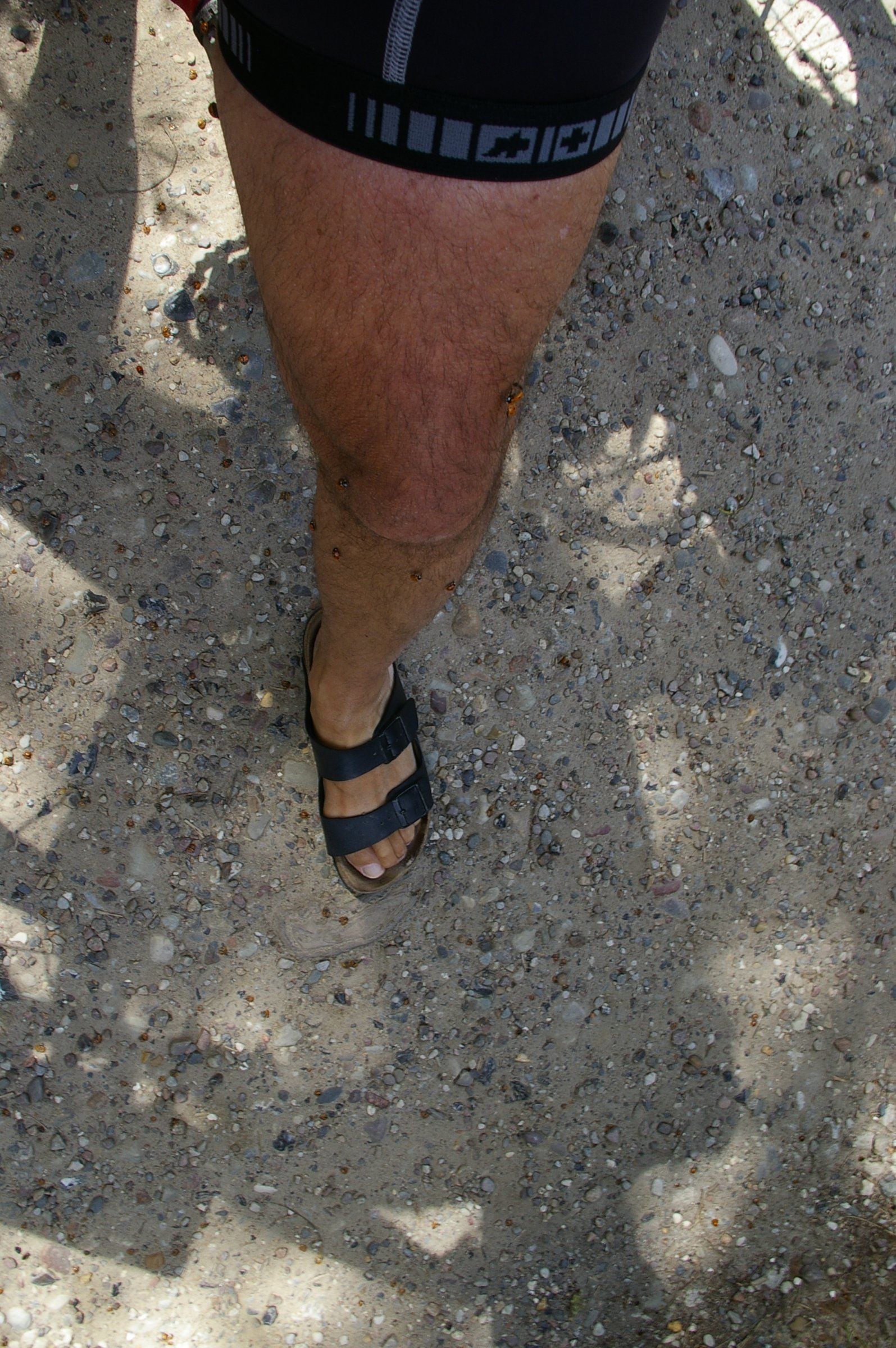 _IGP6444.JPG