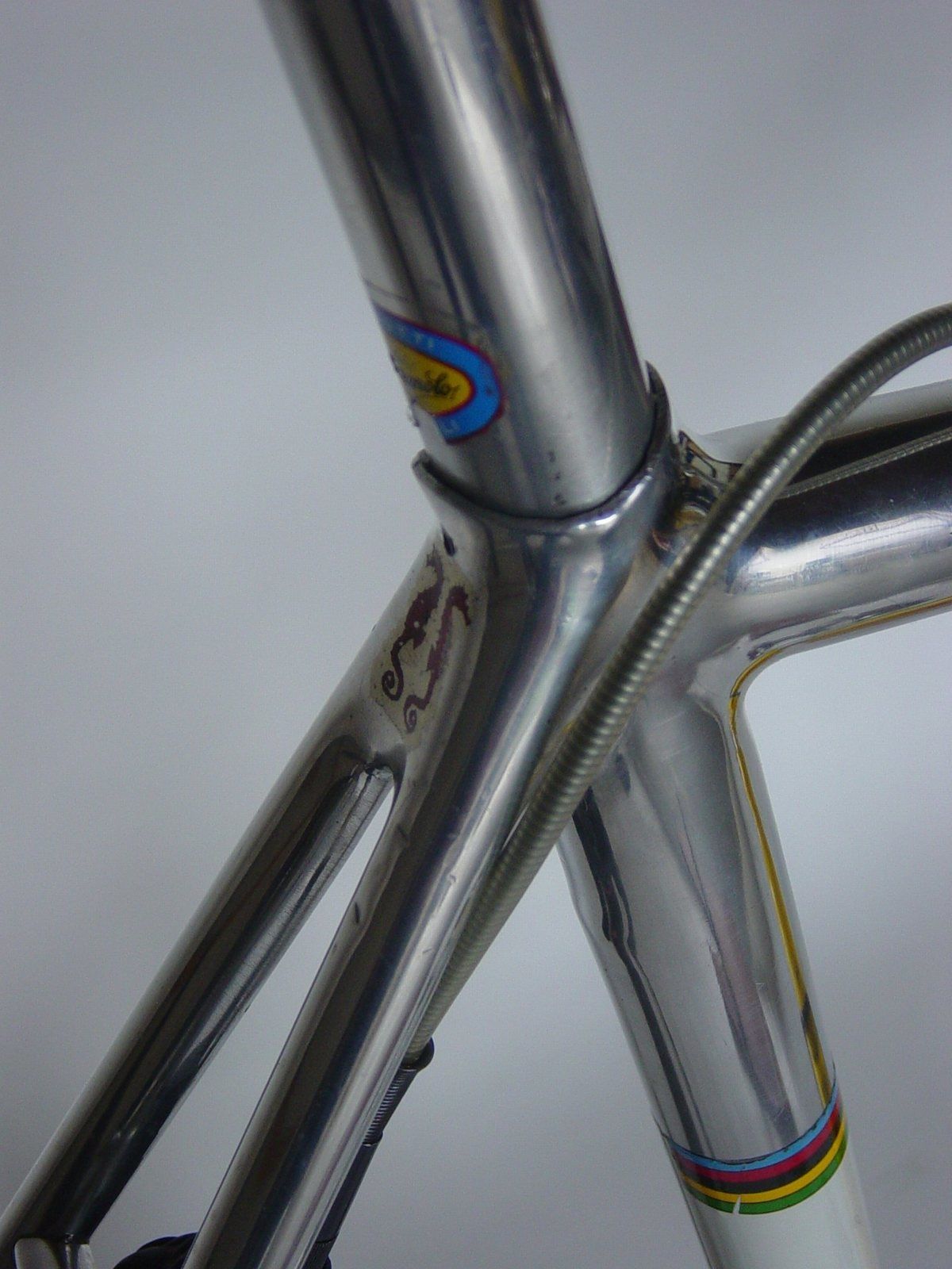 A. Salbiere cadre velo frame (7).jpg