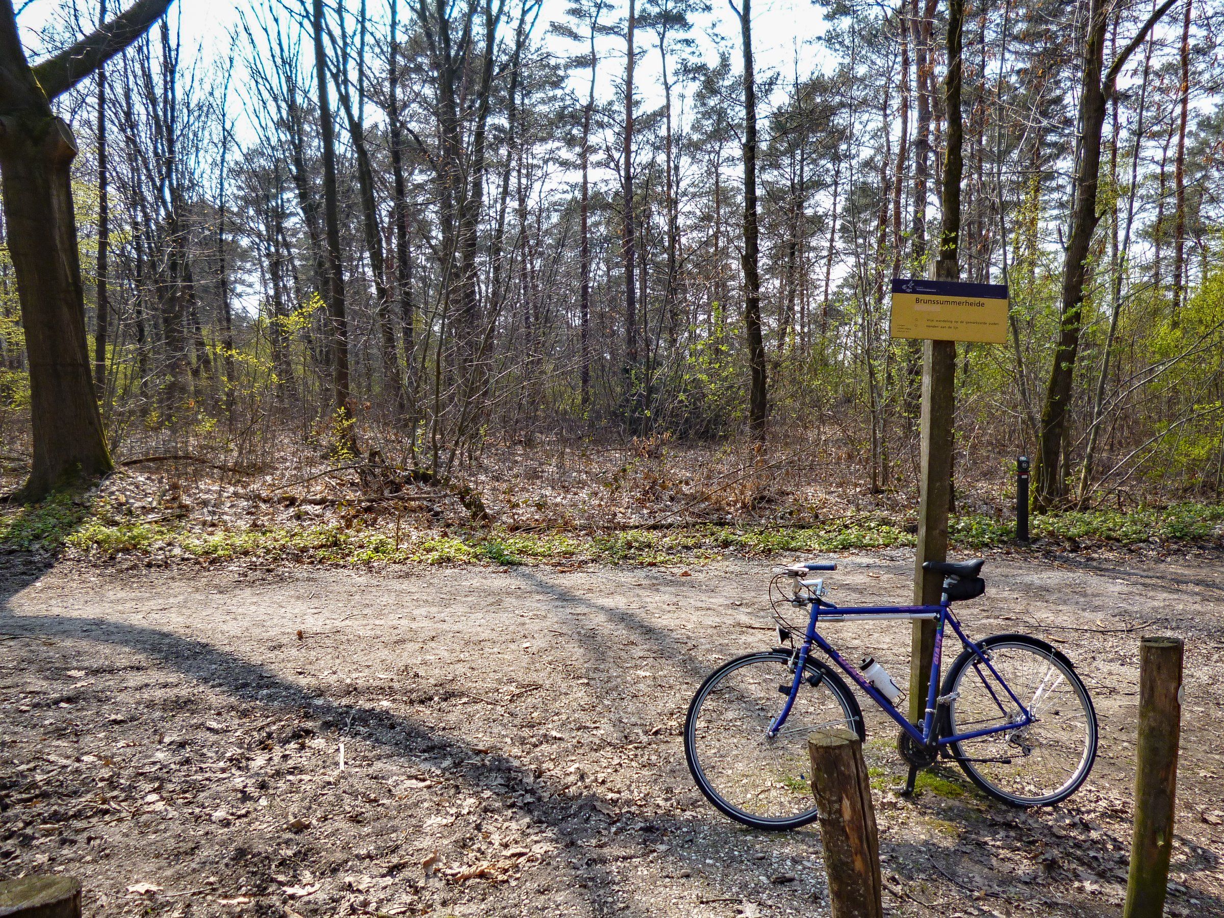 Aan de Brunsummerheide - Kopie.jpg