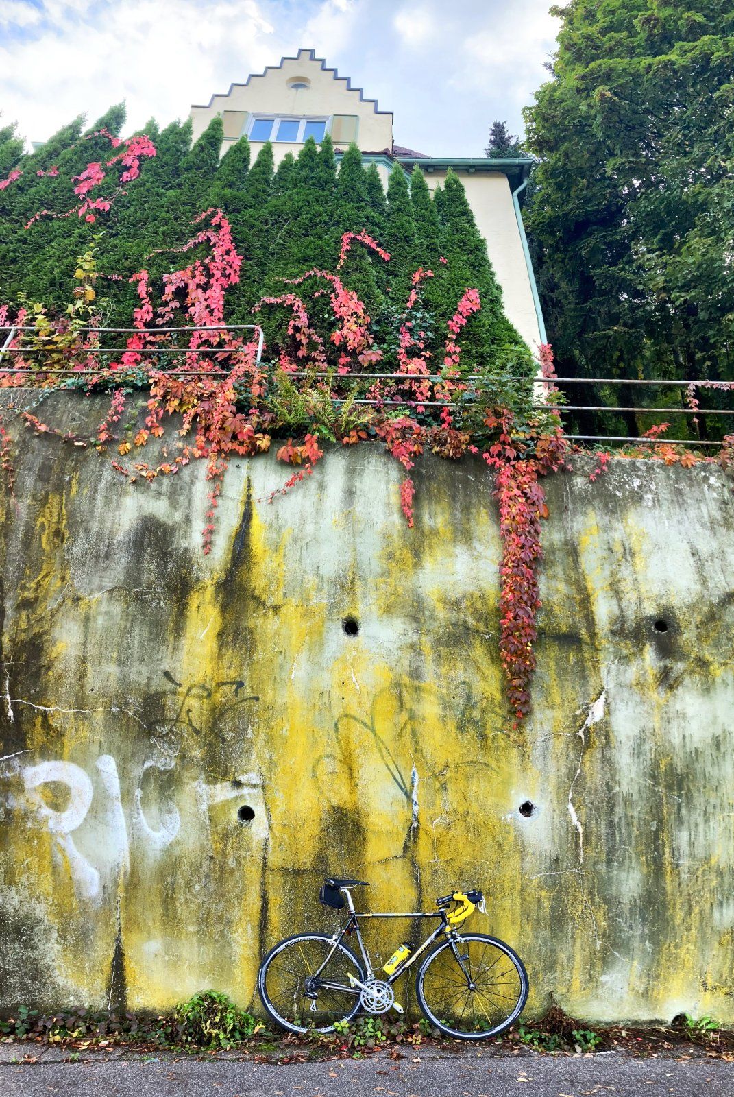 AB49E392-640C-4017-8516-63F0F6F0062D.jpeg