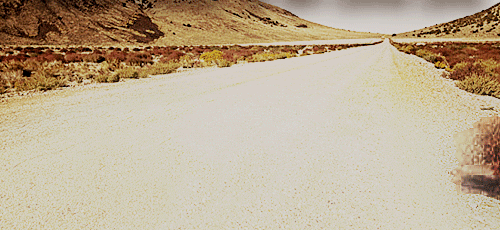 AD096788-3A72-4F40-AB23-929930795B11.gif