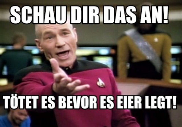 aHR0cHM6Ly93d3cucmVubnJhZC1uZXdzLmRlL2ZvcnVtL3Byb3h5LnBocD9pbWFnZT1odHRwcyUzQSUyRiUyRnd3dy5tZ...jpeg