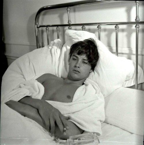 Alain Delon (1957) - John Barrington.jpg