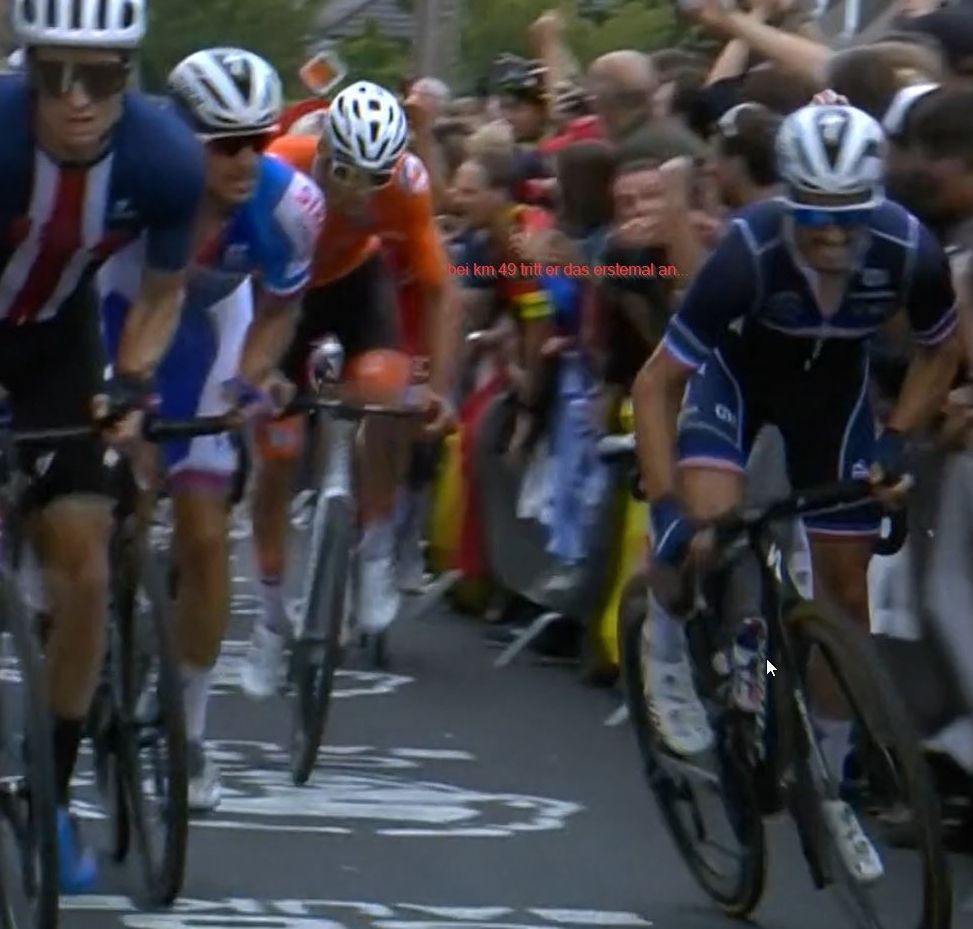 Alaphilippe_2021_2.jpg