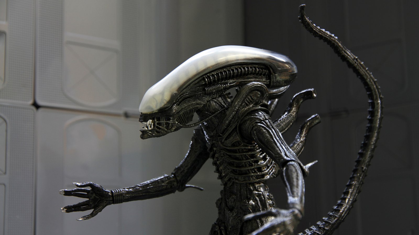 Alien-Serie-Header.jpg