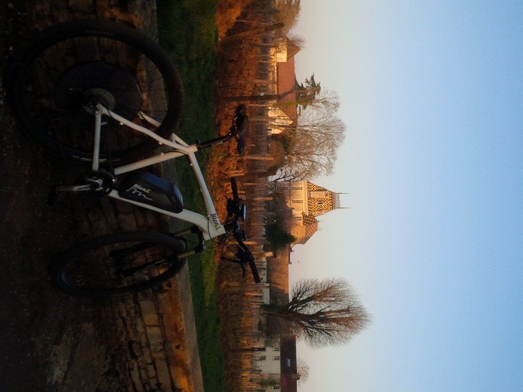 Aloxe-corton 4.jpg