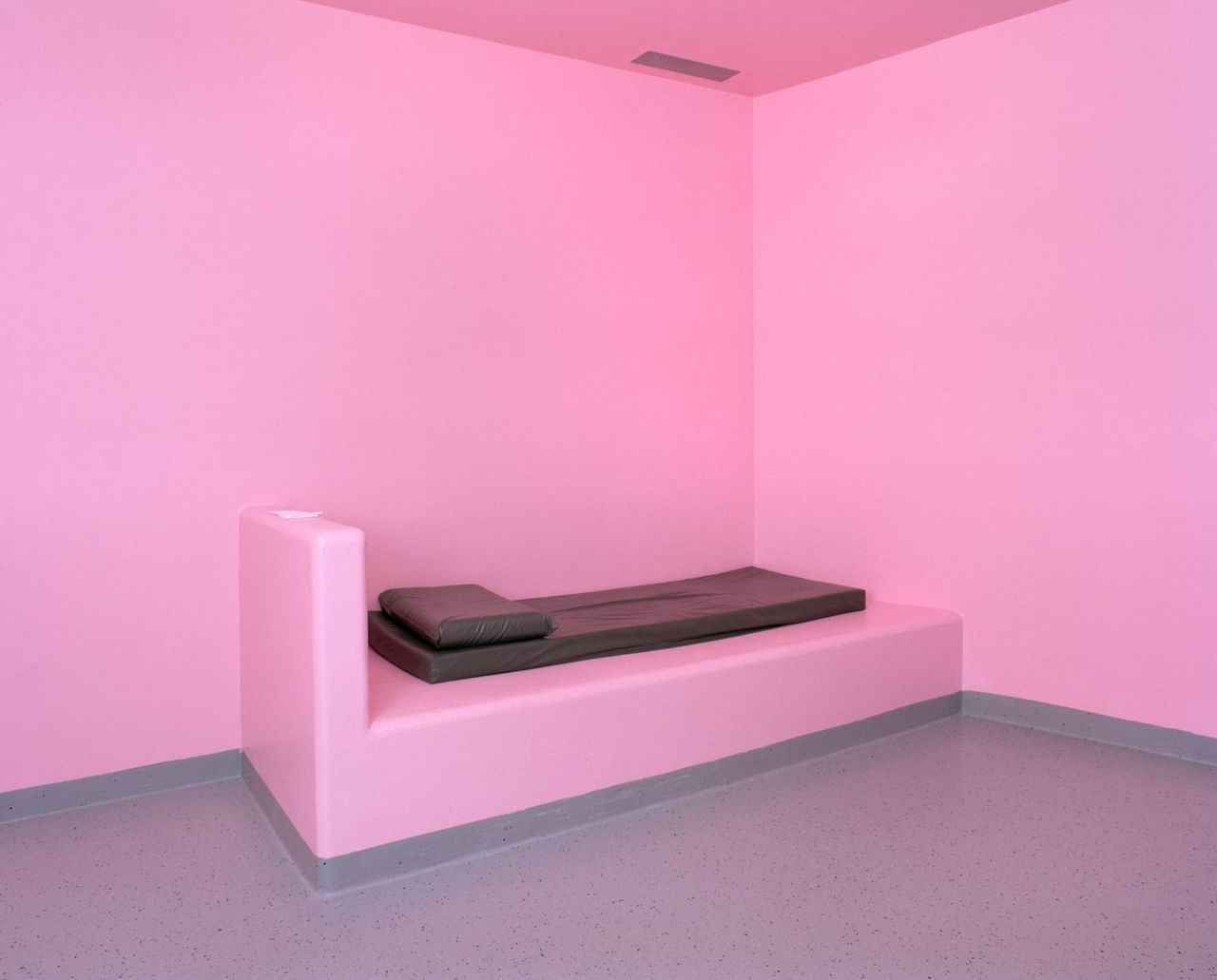 Angélique Stehli - Pink Cells (3).jpg