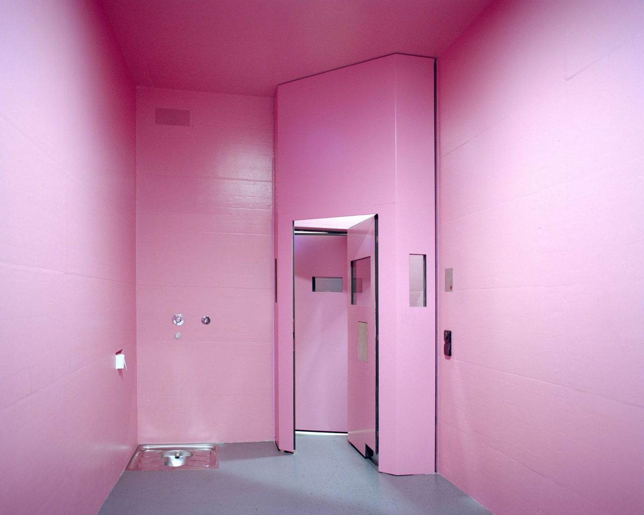 Angélique Stehli - Pink Cells (4).jpg