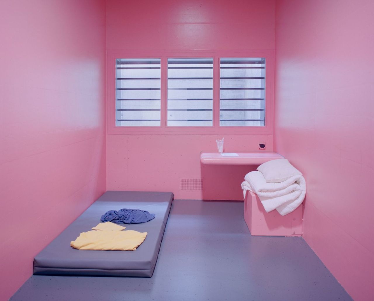 Angélique Stehli - Pink Cells (6).jpg