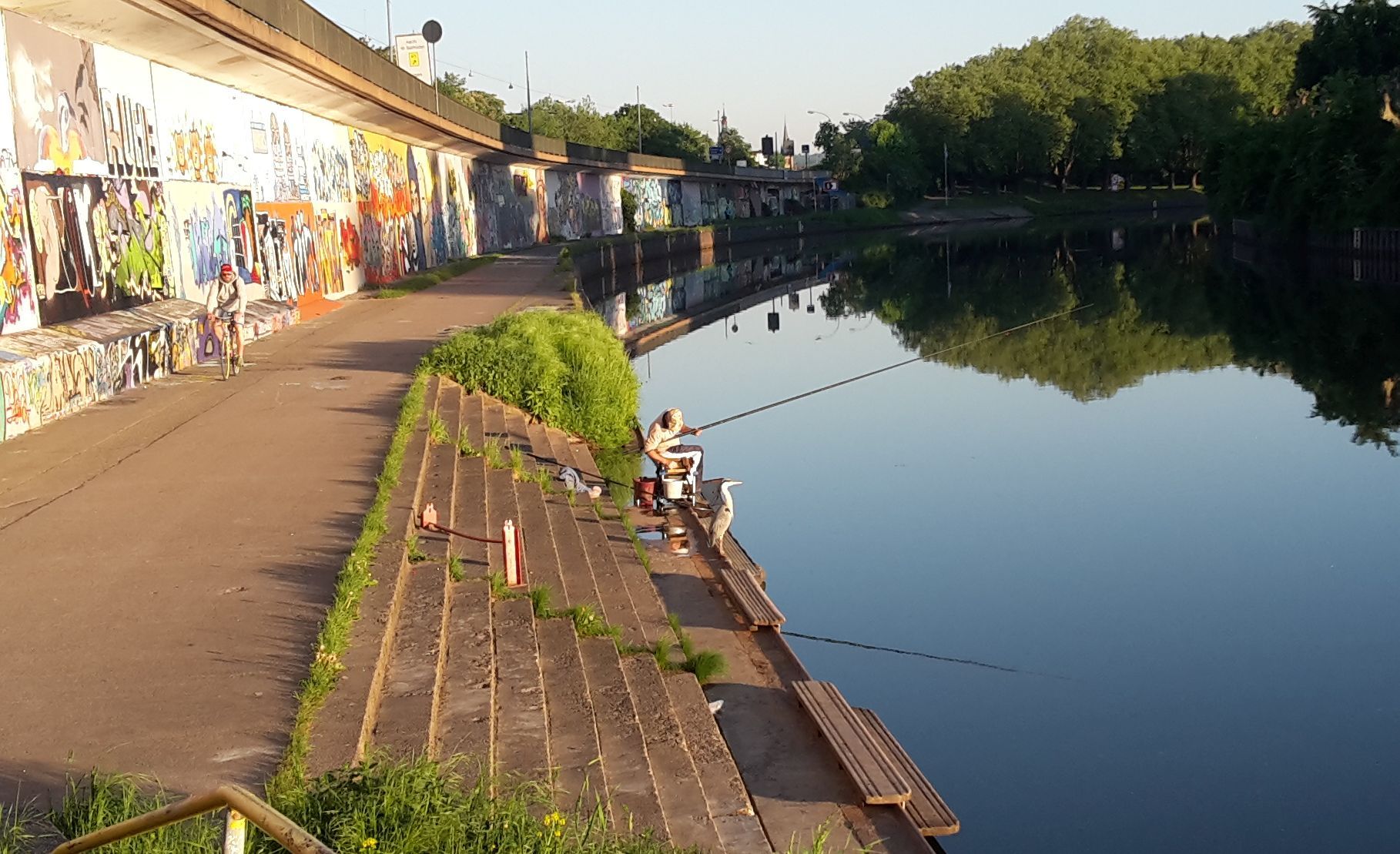 angler_reiher_radpendler.jpg