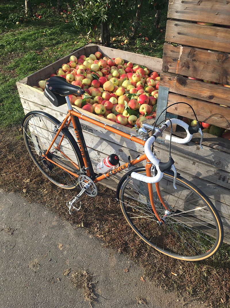 Apfel.2.jpg