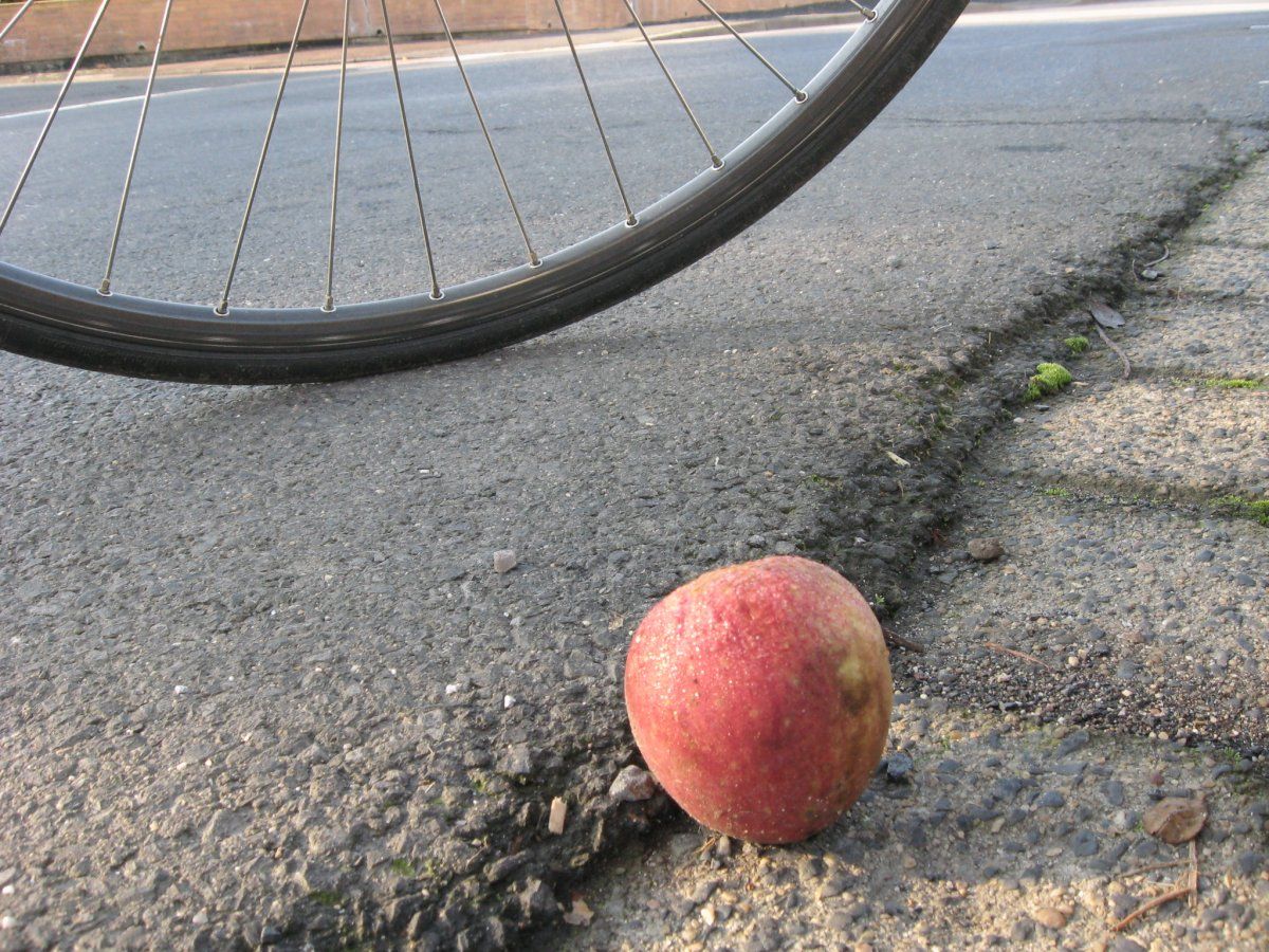 apfel herbst.JPG