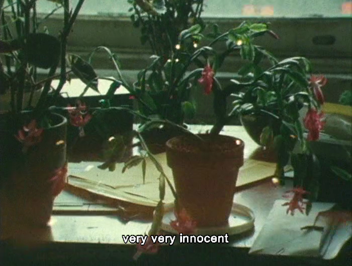 As I Was Moving Ahead Occasionally I Saw Brief Glimpses of Beauty, Jonas Mekas (2000) film 7.png