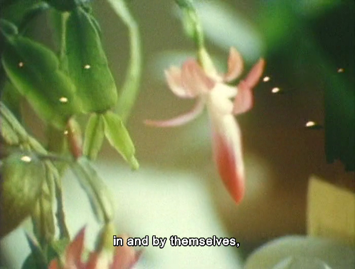 As I Was Moving Ahead Occasionally I Saw Brief Glimpses of Beauty, Jonas Mekas (2000) film 8.png