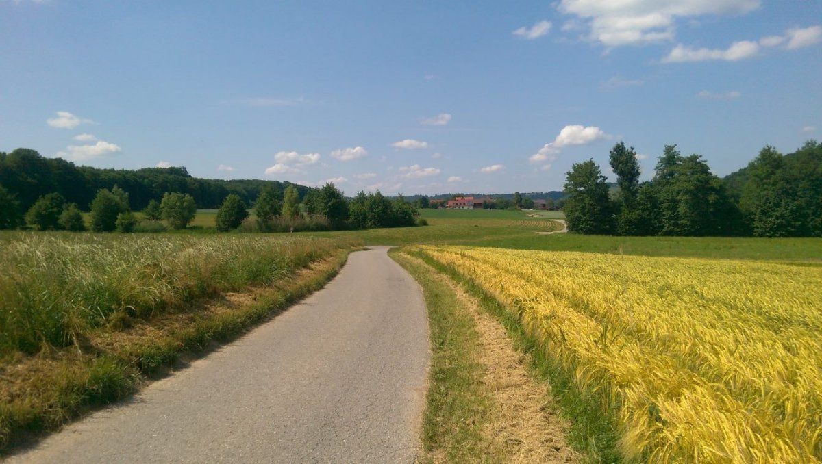 aspach.jpg