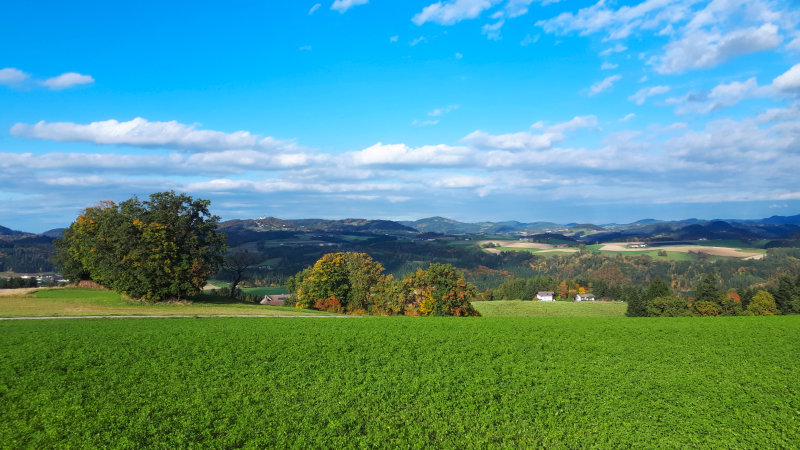 aussicht.jpg