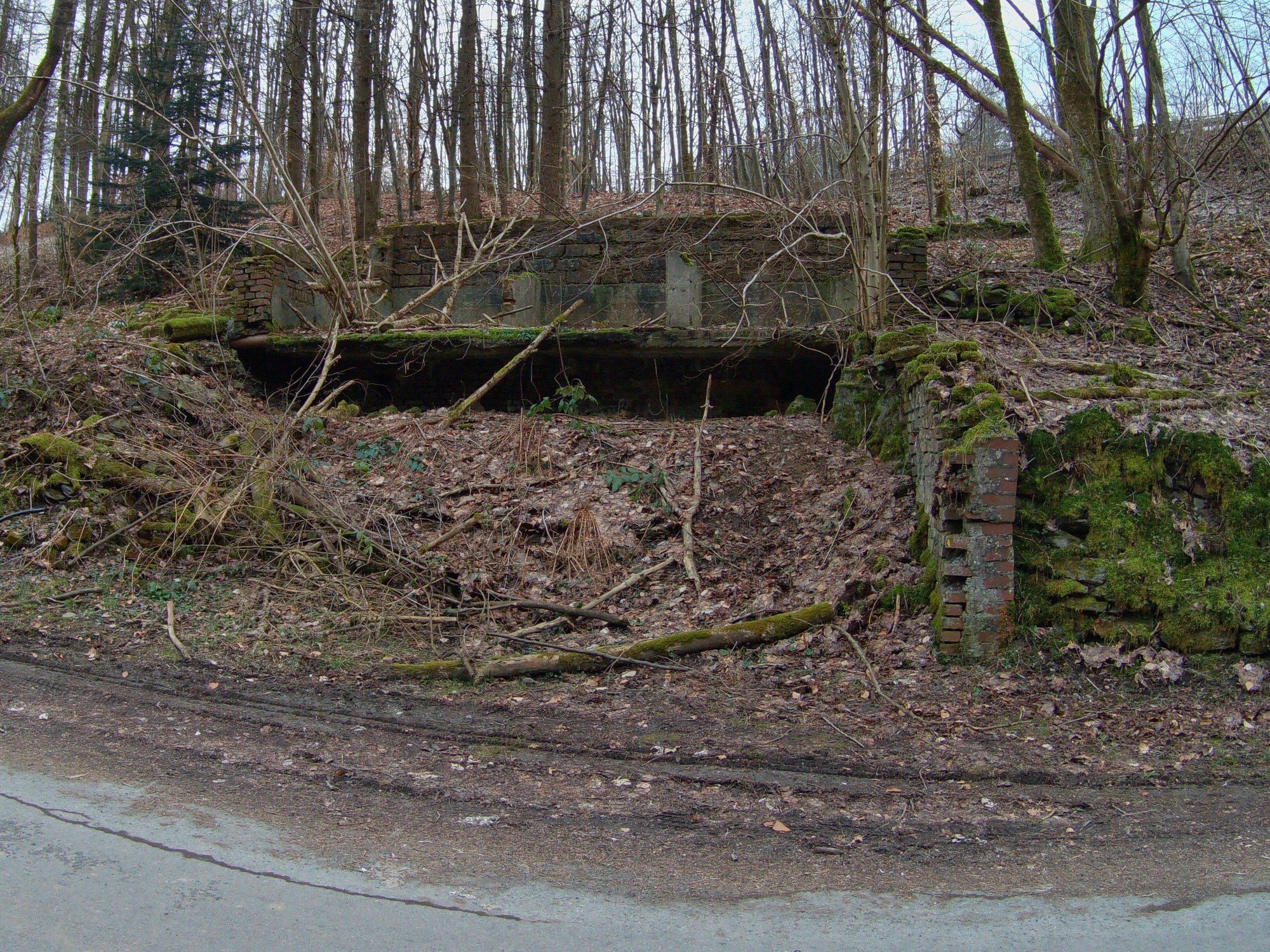 B0350103.JPG