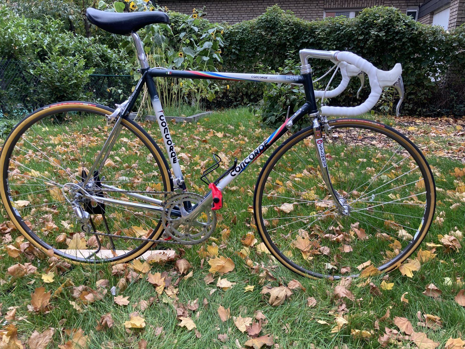 B0EF9CA0-593C-4147-84E4-3736CB3B2249.jpeg B0EF9CA0-593C-4147-84E4-3736CB3B2249.jpeg