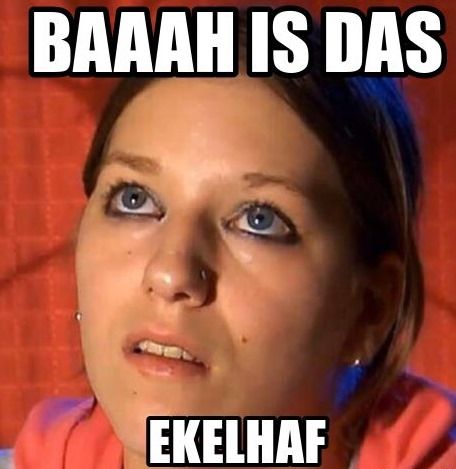 B44A8E61-DFB0-4F6B-AE7A-FDD1B2A979A8.jpeg