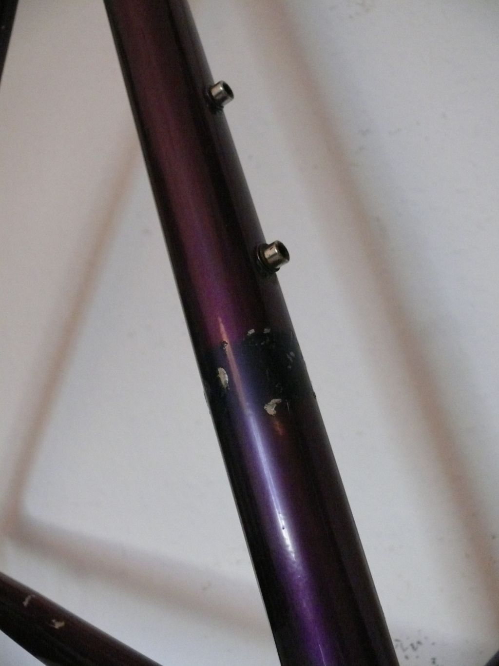 b6.jpg