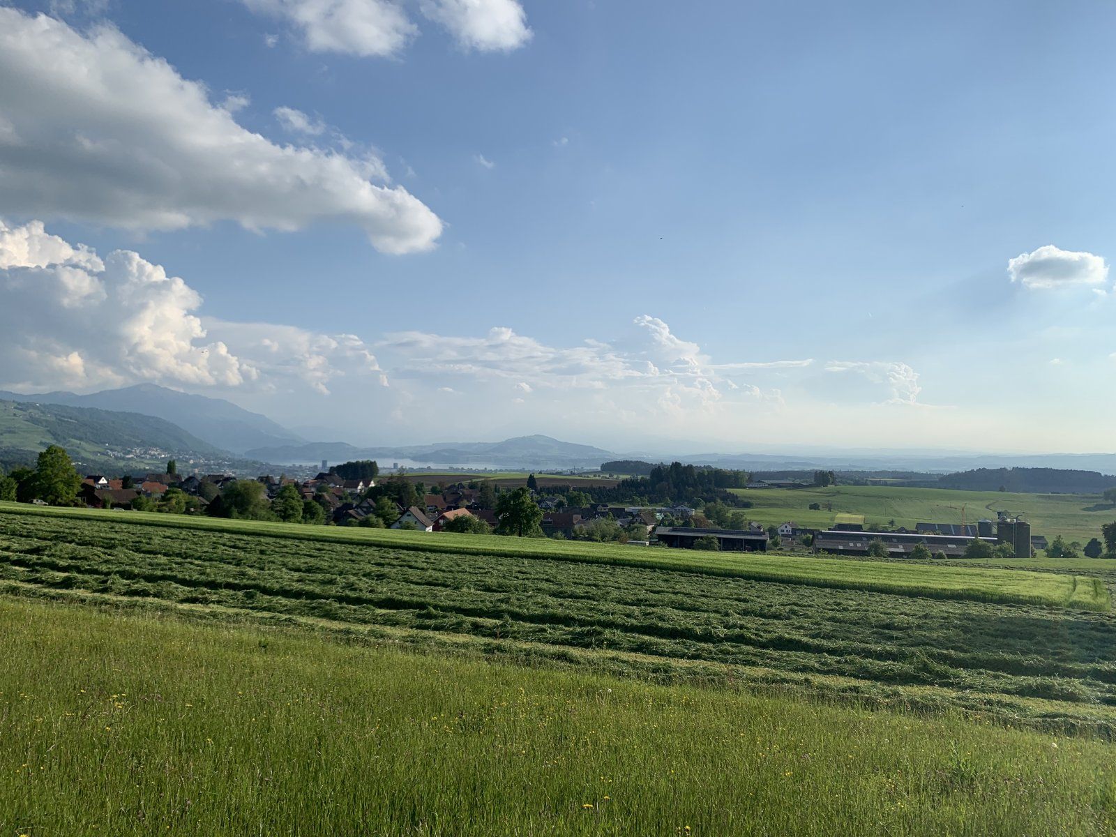 B71E6A41-9269-482F-9039-2EA465328B8D.jpeg