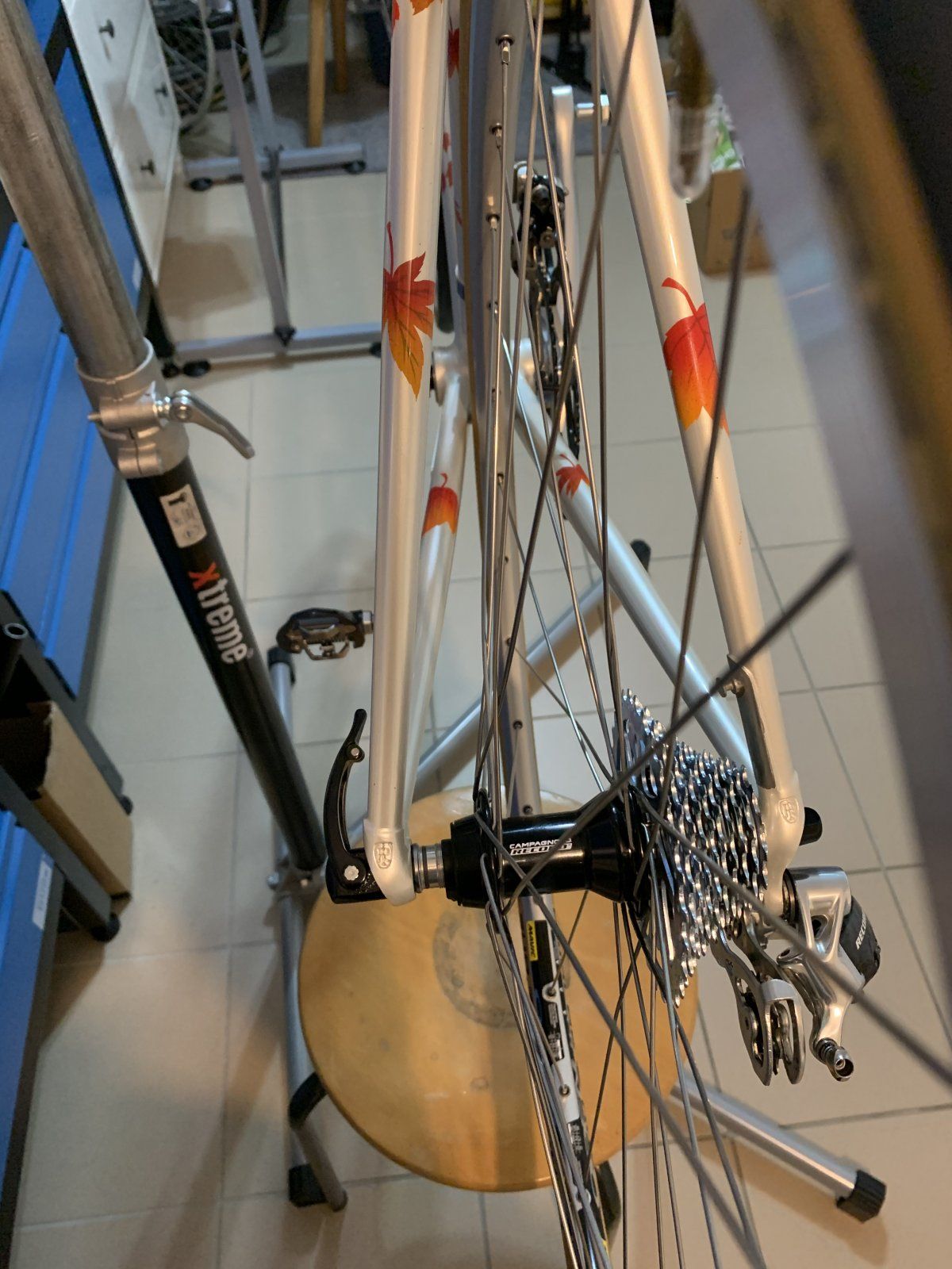 B95BE566-DF28-4C36-A087-BCA0290E036C.jpeg