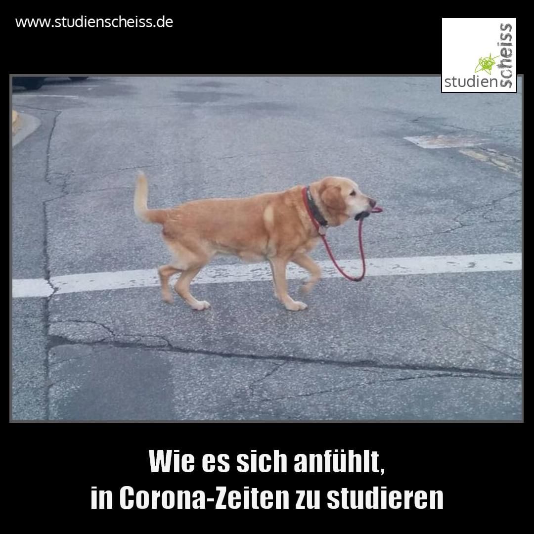 BA0AB1CE-695E-47E1-90DF-1E61F697F749.jpeg