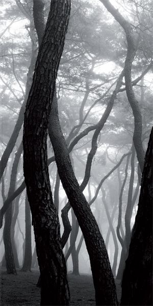 Bae Bien-U, SNM1A-018V, 1992, C-print mounted on Plexiglas in artist’s frame, 260x135cm (4).jpg